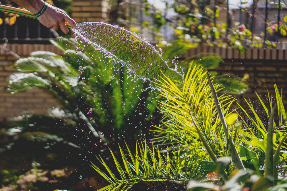 Garden Watering
