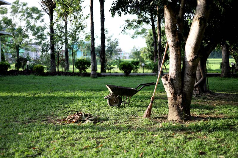 Landscaping